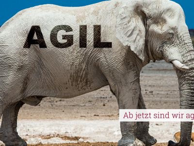 AgileThinking®  Impuls-Session